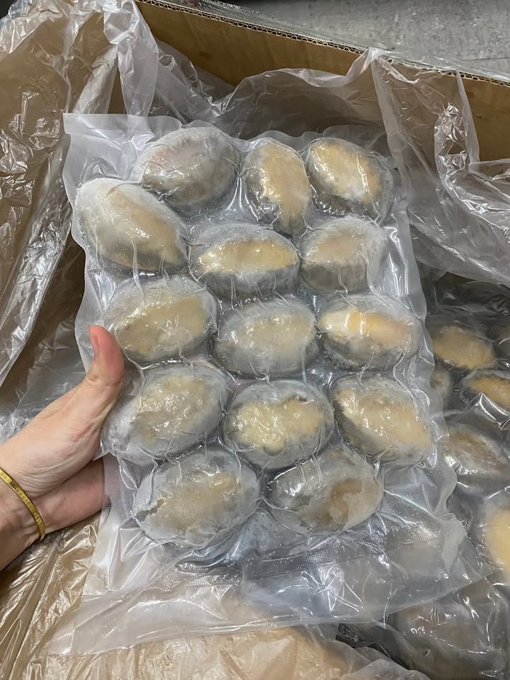Абалон в наличии (абалон в наличии kho), размер 10-24
