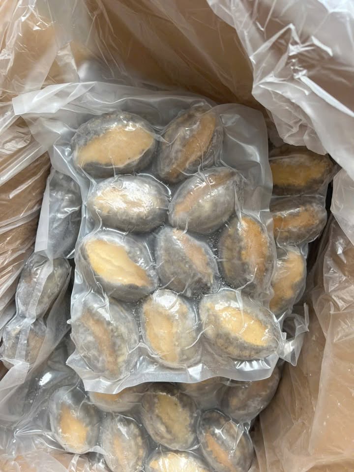 Абалон в наличии (абалон в наличии kho), размер 10-24