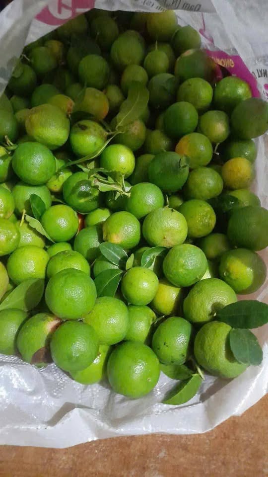Свежие осенние лимоны chanh đào, комбо 2 кг