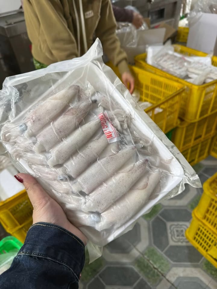 Икряной кальмар, кальмар икряной кальмар tự nhiên hàng net, в наличии