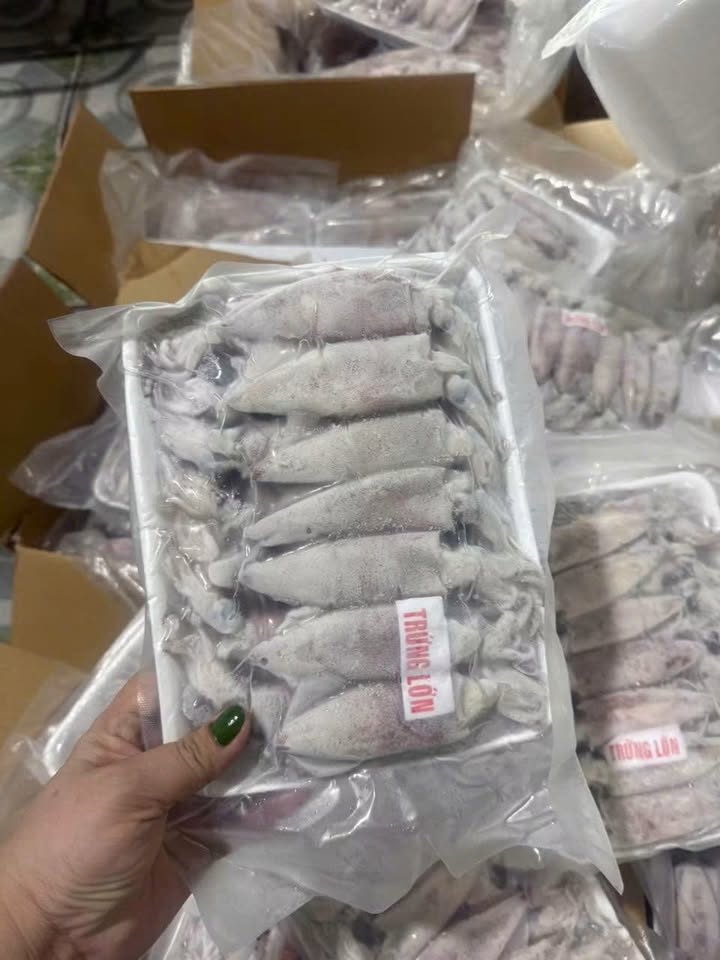 Икряной кальмар, кальмар икряной кальмар tự nhiên hàng net, в наличии