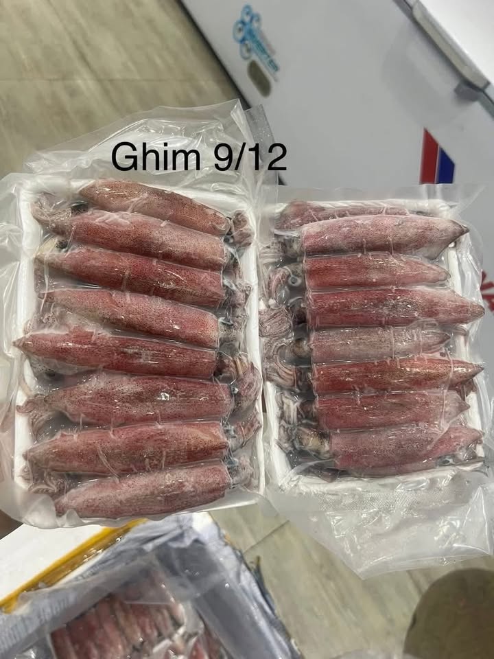 Кальмар mực ống ghim bờ A hàng loại, кальмар mực ống ghim, сорт 1