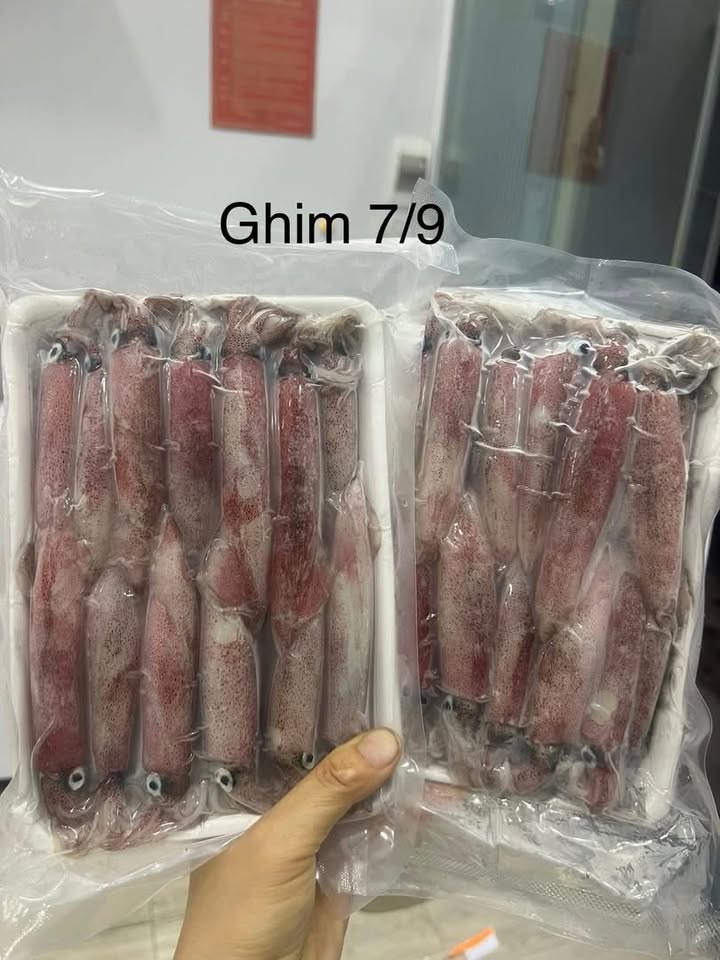 Кальмар mực ống ghim bờ A hàng loại, кальмар mực ống ghim, сорт 1