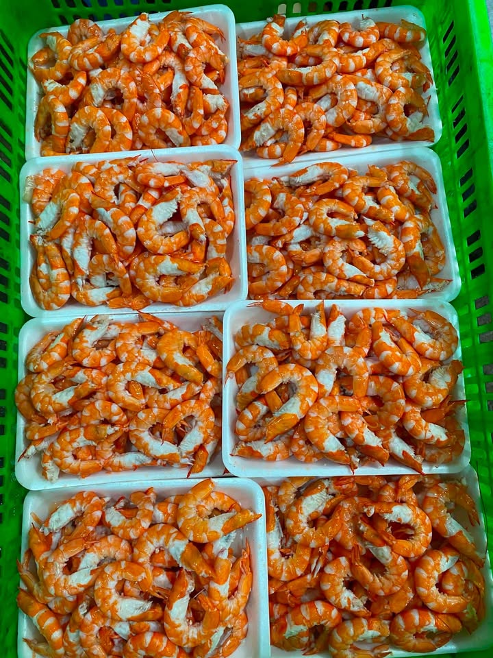 Nõn thẻ из мастерской, ежедневная обработка