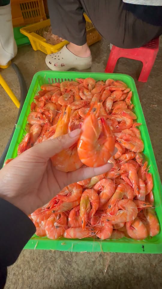 Очищенное мясо креветки на пару, в наличии завтра, охлажденное на льду и замороженное